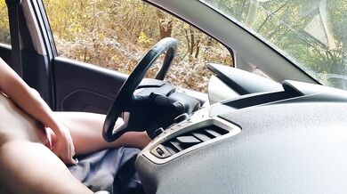 Public dick flash in car