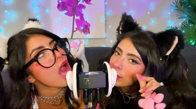 ASMR TWO Cats Flirt and Lick Your Ears with Eye Contact layered sounds - CorneliustheCat ASMR