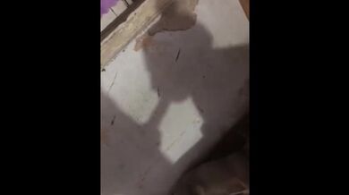 Shadow deepthroat shadow slut