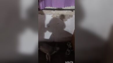 Shadow deepthroat shadow slut