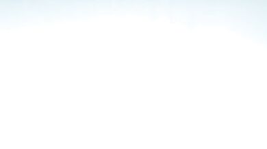 Cute naughty girl gives me her pussy to enjoy