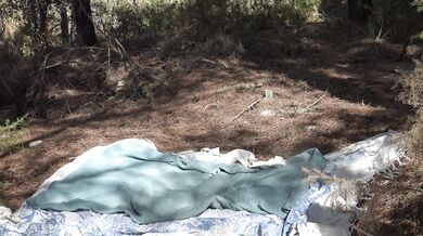 Une femme Algerienne se fait baiser hard dans la forêt à Marseille