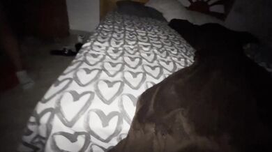 QUE RICO FOLLA MI HERMANASTRA