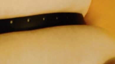 Furry pounded from behind